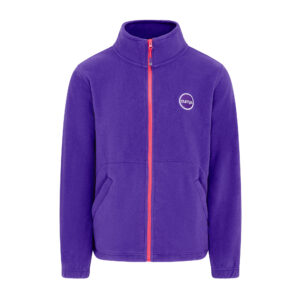 Currys Glacier Fleece